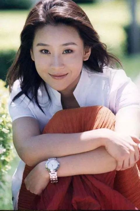 新疆佟麗婭，東北的宋佳：哪裡有中國最美的女演員？ 娛樂 第39張
