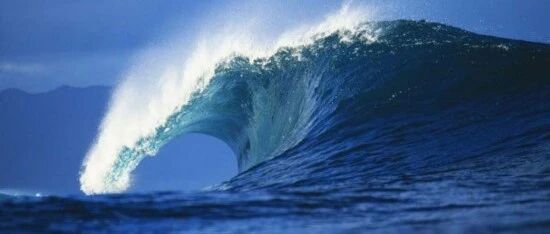 暴爽！风口已至，还在等啥？（内含独家私密干货）