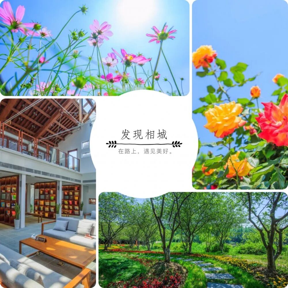 苏州@不期而遇的春光，相城发现之旅