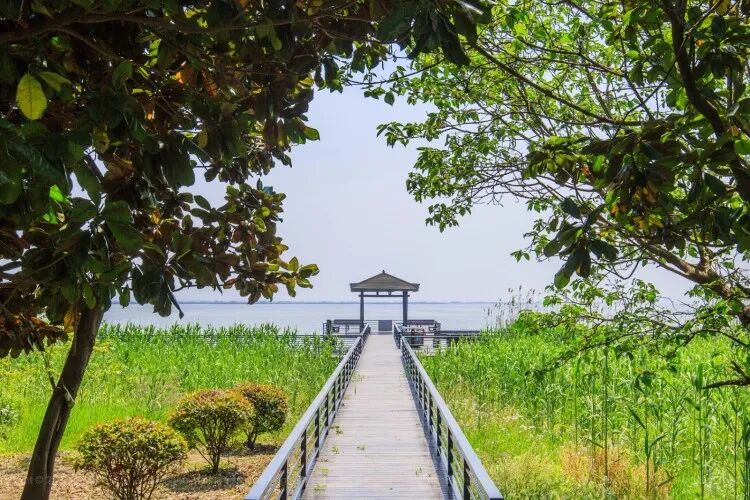 苏州@不期而遇的春光，相城发现之旅