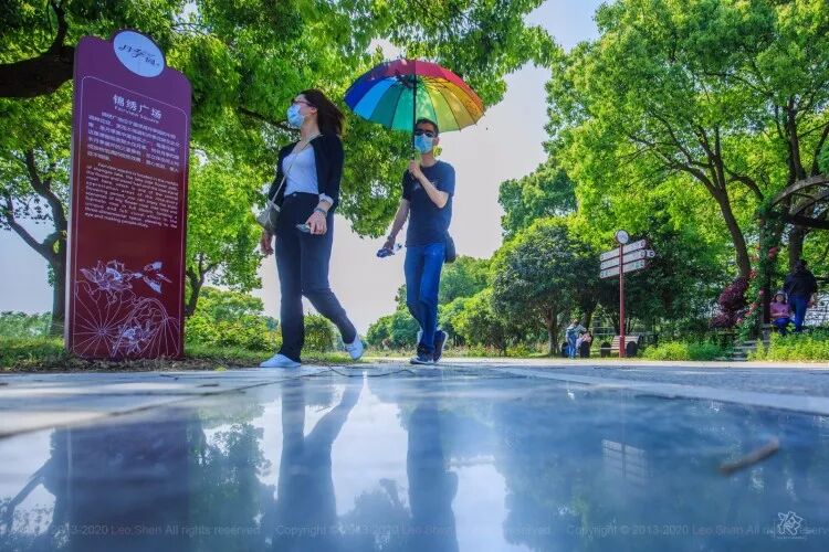 苏州@不期而遇的春光，相城发现之旅