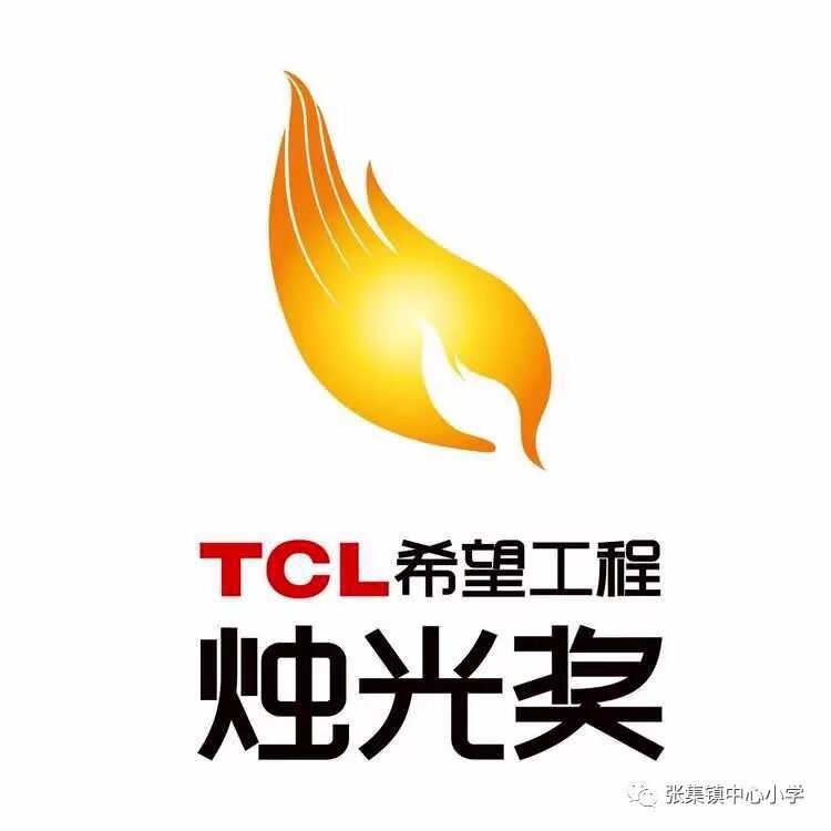 张集镇中心小学教师喜获国家级奖项