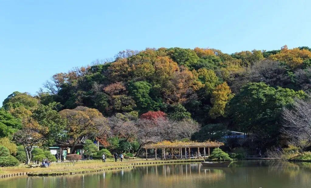 【行業觀察】日本這么一個小島國，新材料產業為何能稱雄全球？的圖11