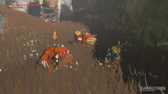 塞尔达大师模式_大师模式塞尔达dlc_大师模式塞尔达区别
