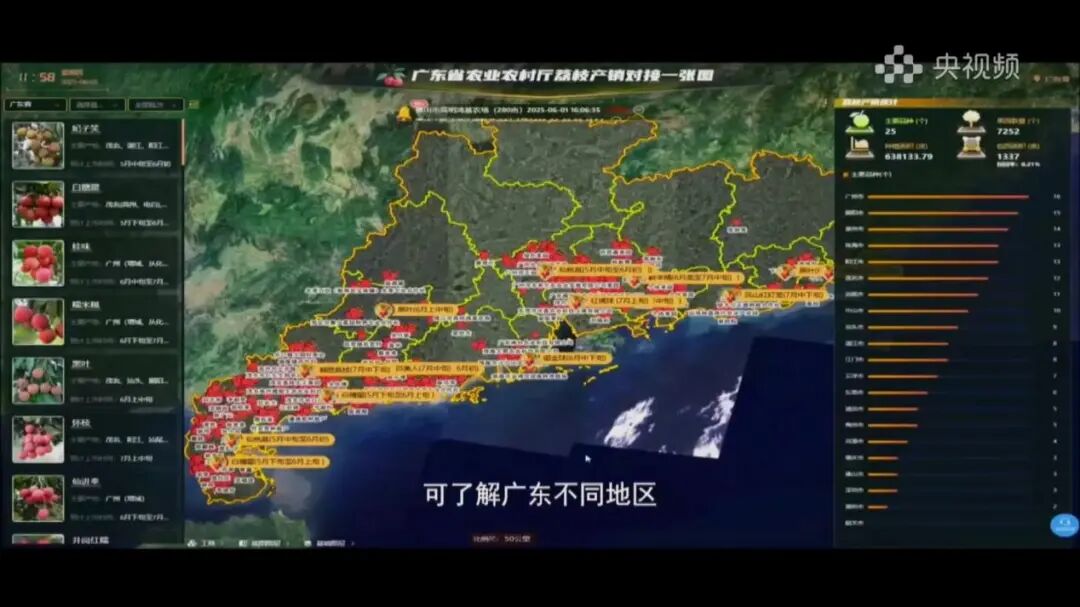 2025年广东荔枝采购导图