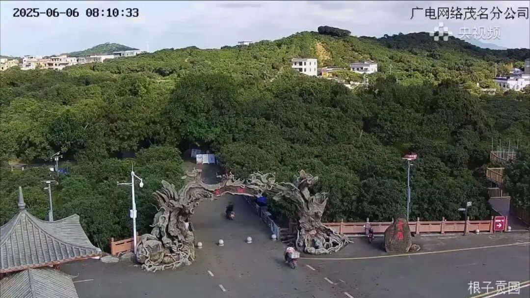 茂名高州根子镇贡园