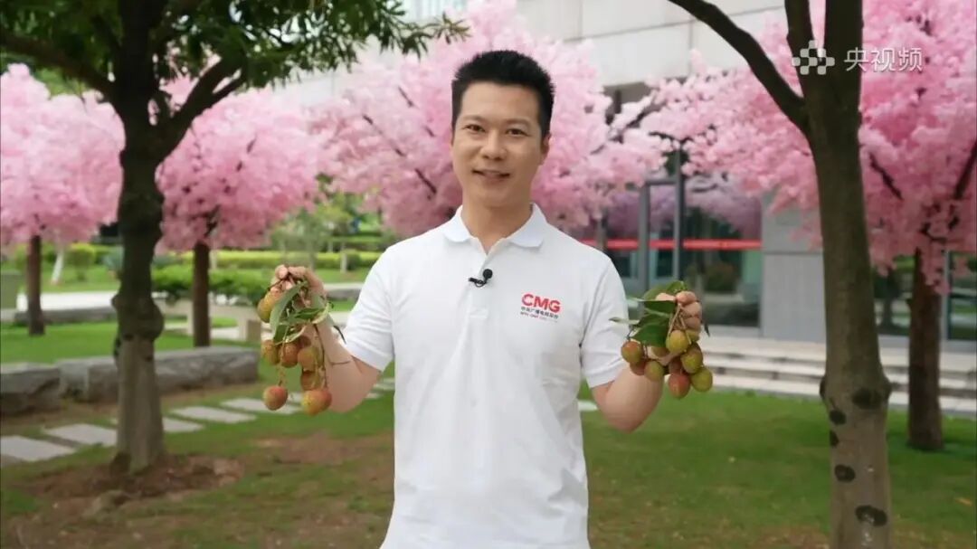 总台记者成颖杰带荔枝送祝福