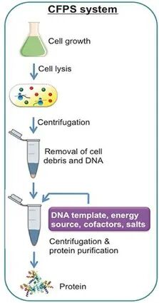 膜蛋白表達(dá)“哪家