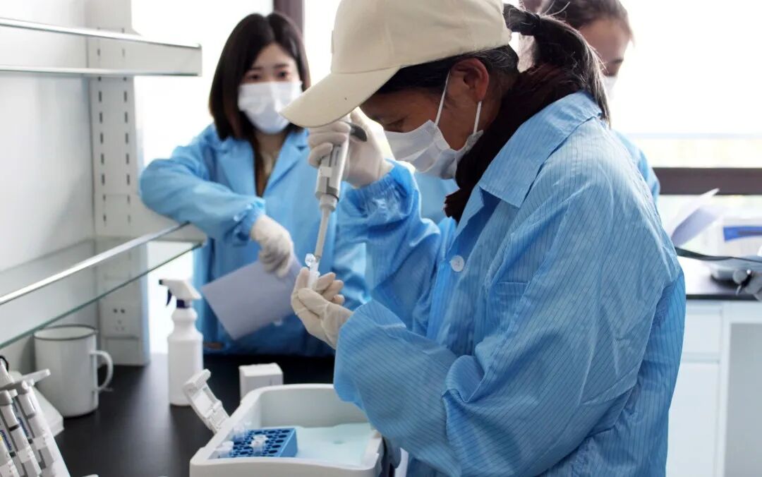 珀羅汀生物 “無細胞蛋白表達 Workshop 