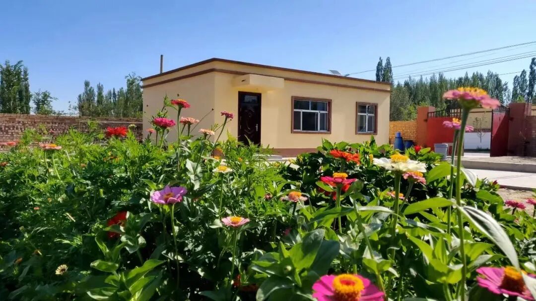 "院景"变"钱景" 精河县托里镇庭院经济为乡村振兴增添色彩