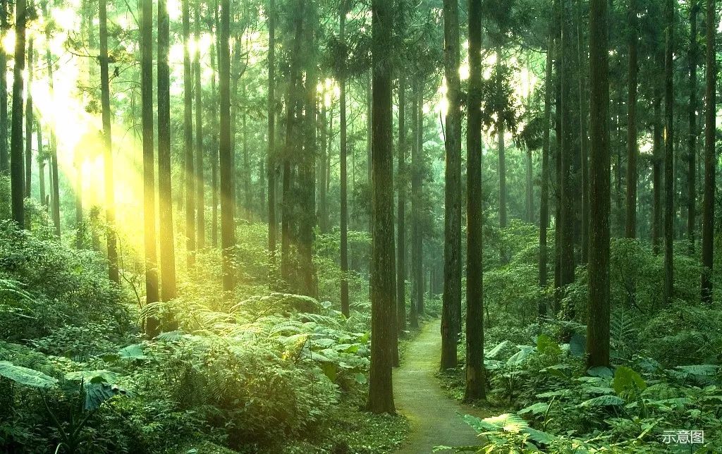 大正水晶森林介绍郑州大正水晶森林项目信息