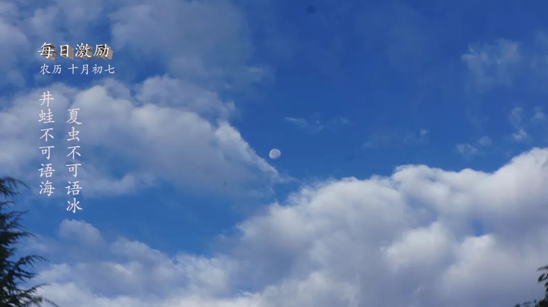 一日激励 新叶故事汇 微信公众号文章阅读 Wemp