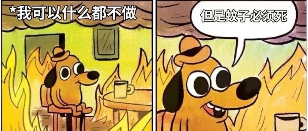 错过最佳控制期，“今年上海的蚊子真是绝了”，家庭灭蚊该怎么做？