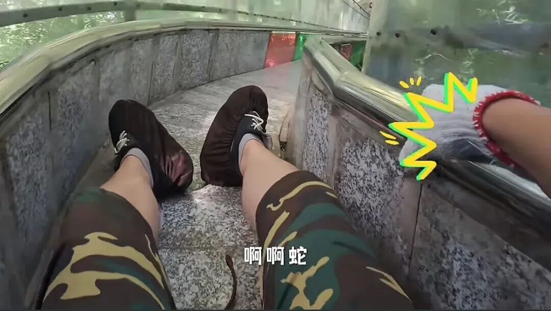 七旬老太房间囤满物 进出需用爬,太吓人！游客坐滑道遇蛇从脚下穿过？景区致歉