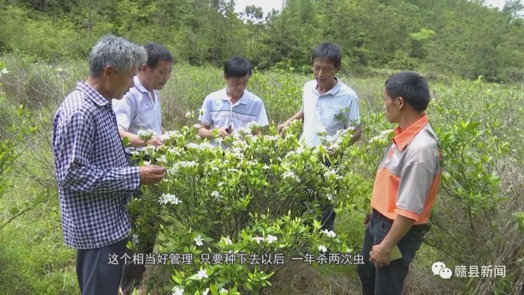 行业|-首码网-网上创业赚钱首码项目发布推广平台