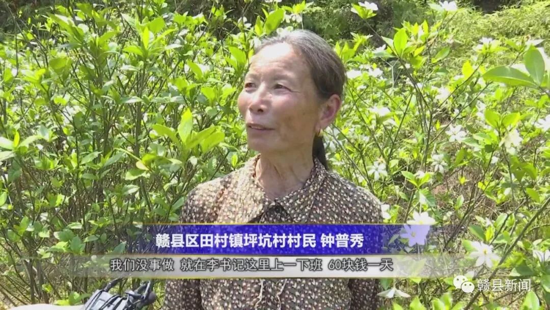 种植中药材脱贫致富_种植药材创业项目_中药材脱贫