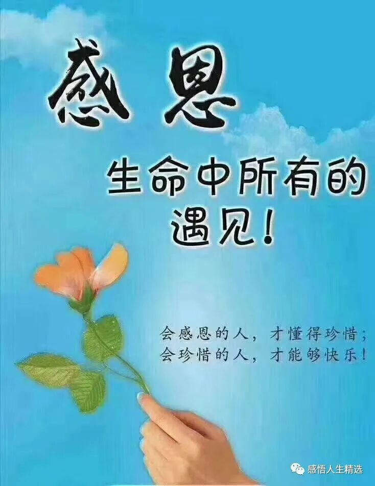 这辈子最该珍惜的人好文