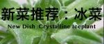 新菜推荐［凉拌水晶冰菜］Crystalline Iceplant