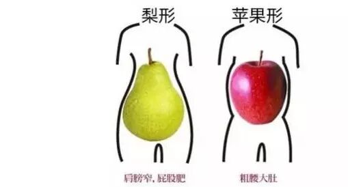 为什么苹果形身材更伤“心”？