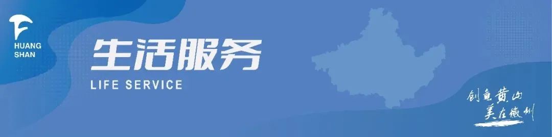 中央农业致富经视频_中央7套农业致富经_中央7农业致富节目