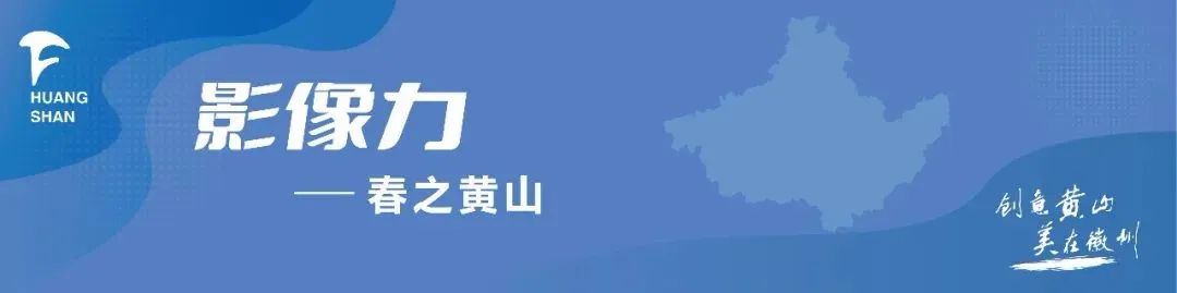 中央7套农业致富经_中央7农业致富节目_中央农业致富经视频