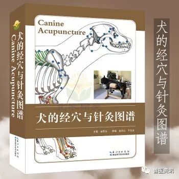 动物拍片腹部怎么摆经典兽医用书推荐（小动物篇），绝对有你需要的......_https://www.jmylbn.com_新闻资讯_第5张