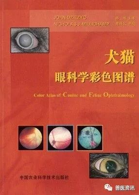 动物拍片腹部怎么摆经典兽医用书推荐（小动物篇），绝对有你需要的......_https://www.jmylbn.com_新闻资讯_第18张