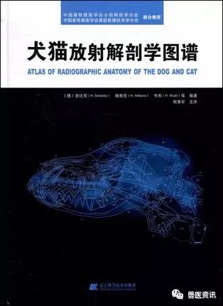 动物拍片腹部怎么摆经典兽医用书推荐（小动物篇），绝对有你需要的......_https://www.jmylbn.com_新闻资讯_第19张