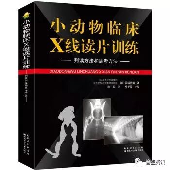 动物拍片腹部怎么摆经典兽医用书推荐（小动物篇），绝对有你需要的......_https://www.jmylbn.com_新闻资讯_第6张