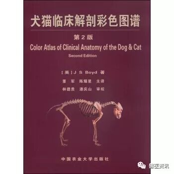 动物拍片腹部怎么摆经典兽医用书推荐（小动物篇），绝对有你需要的......_https://www.jmylbn.com_新闻资讯_第31张