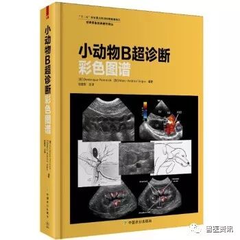 动物拍片腹部怎么摆经典兽医用书推荐（小动物篇），绝对有你需要的......_https://www.jmylbn.com_新闻资讯_第33张