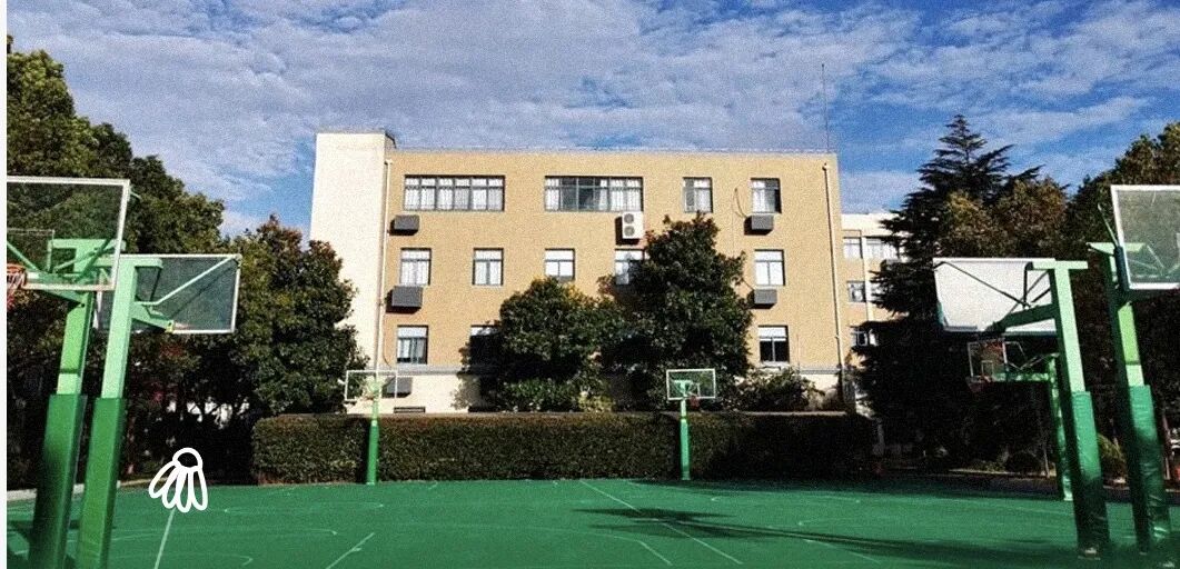 小店怎么参与“五五购物节”？上海市商务委回应“小研”了