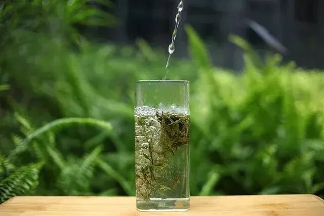 高手教你春节各种茶叶如何泡？