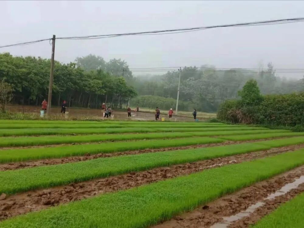 油石乡:积极开展"乡间夜话",助推春耕生产等工作 | 上犹县信息公开