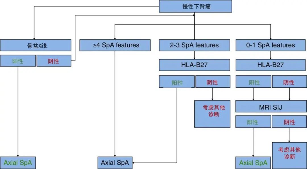 一文读懂中轴型脊柱关节炎的流行病学、诊断与治疗