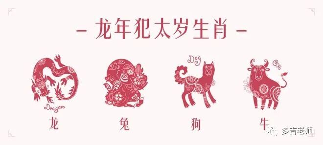 大龙和小龙属相合适吗_属小龙的和属大龙的相克吗_属小龙和大龙的区别