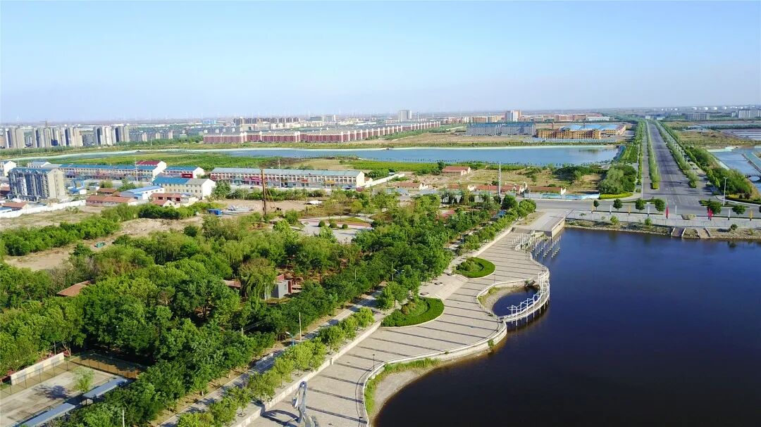 羊口镇擎画高质量发展新蓝图