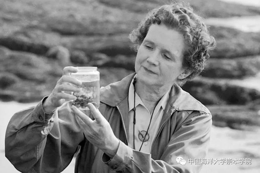 博览 | 环保的领路人——蕾切尔·卡逊（rachel louise carson）