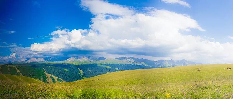 640?wx_fmt=jpeg&tp=webp&wxfrom=5&wx_lazy=1&wx_co=1