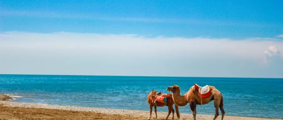 640?wx_fmt=jpeg&tp=webp&wxfrom=5&wx_lazy=1&wx_co=1