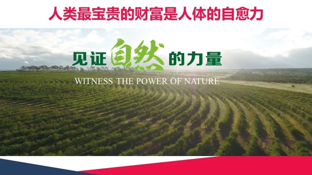 减肥健康方法大全_健康减肥方法_减肥健康有效的方法