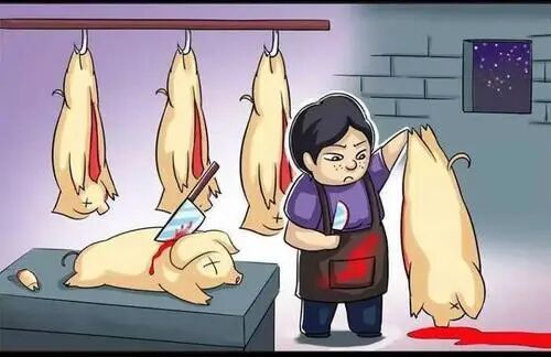 杀猪盘骗局_杀猪宰羊的真实视频_女人杀猪老娘我来宰