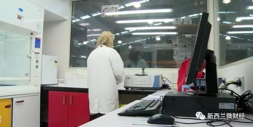 这批中国来的货柜十分可疑，海关人员用榔头敲了个遍（视频/组图） - 24