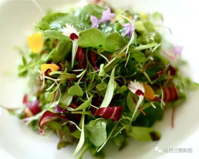 华人在新西兰超市错过的那些好菜！不懂真的是亏大了！