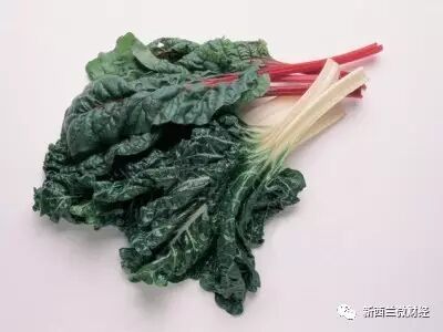 华人在新西兰超市错过的那些好菜！不懂真的是亏大了！