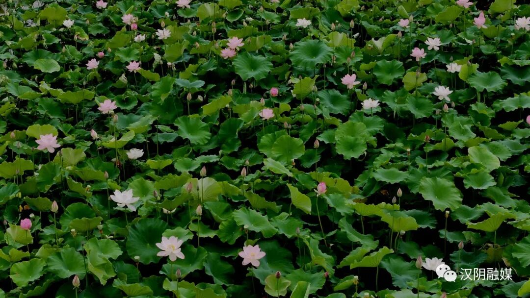 东山兜陆岛交漳州通码头建西门成