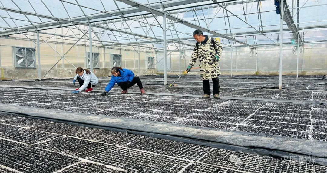 难题电票新破解企业中信中小支付银行一代上线