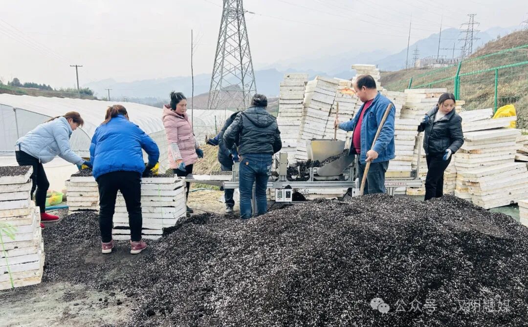 铁通班列启程路快中欧福建首列
