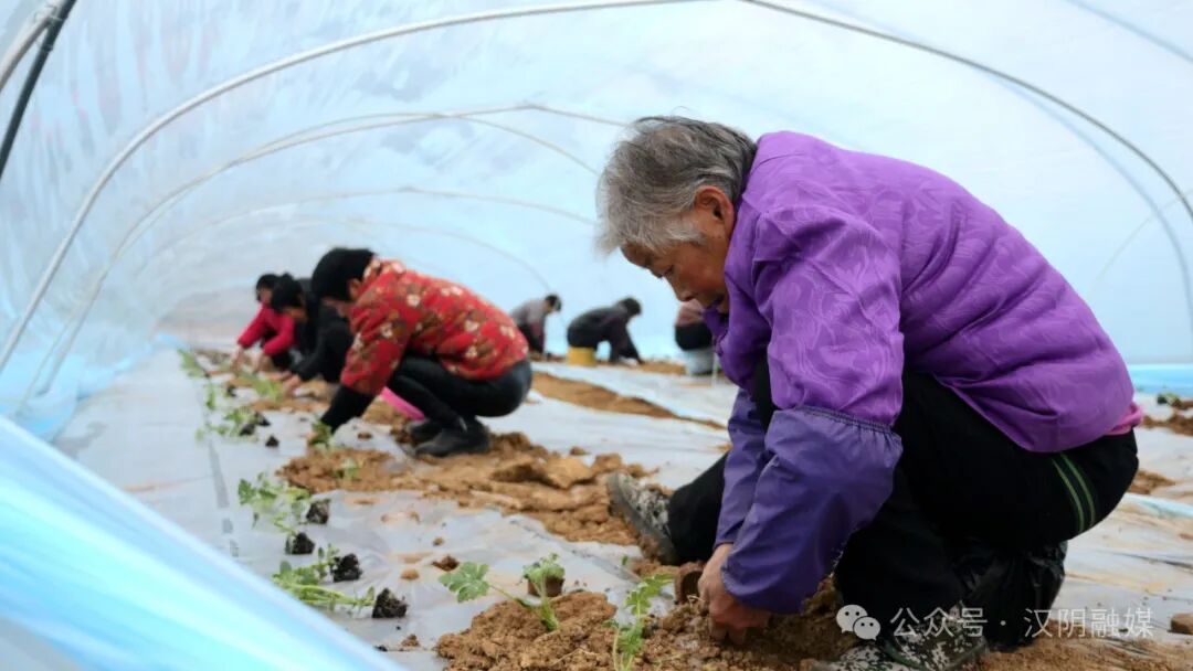 厦门金反弹格每克涨了约元金价饰价