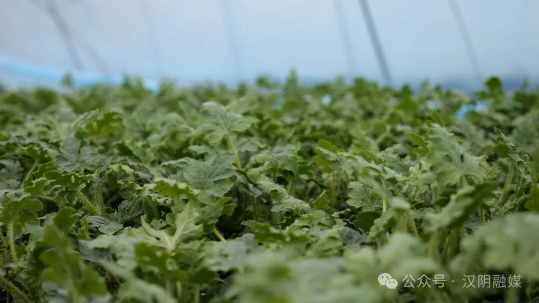 行认动全教工商钢支真开展全资宣山马传活家安马鞍民国银行育日和防范非法集